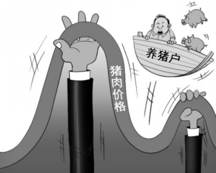 豬價已經接近谷底 還會繼續下跌嗎？