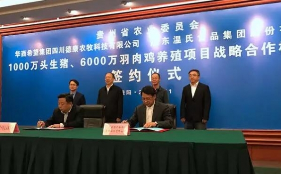華西希望集團(tuán)、溫氏集團(tuán)與貴州簽約1000萬頭肉豬6000萬羽肉雞養(yǎng)殖項(xiàng)目