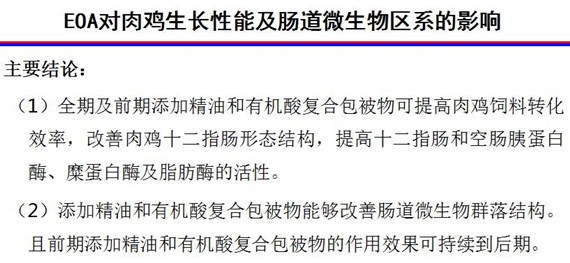 楊11_副本.jpg