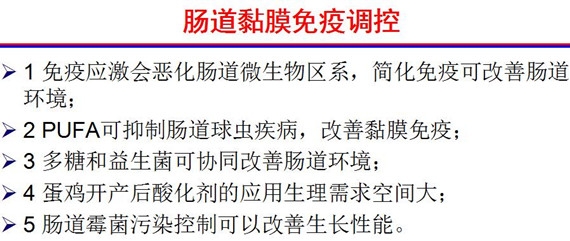 楊12_副本.jpg