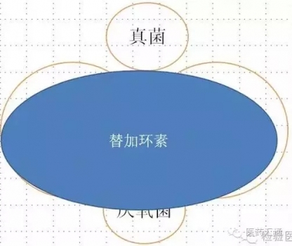 圖解抗生素