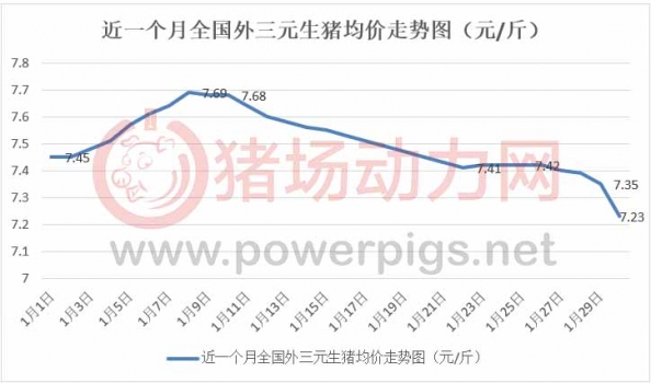 豬價跌瘋了！別急，2月仍有上漲機會.....