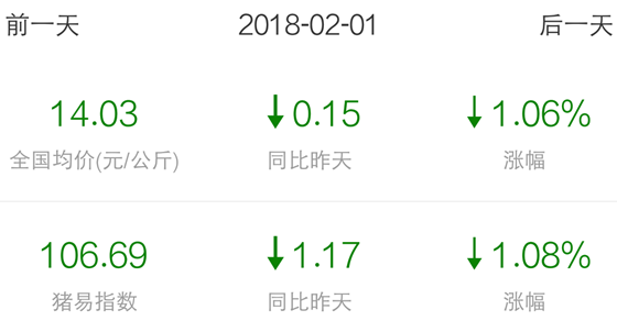 今日豬價大幅下跌，何時反彈？