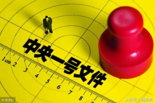 一號文件對2018年養(yǎng)豬業(yè)產(chǎn)生的12點(diǎn)影響