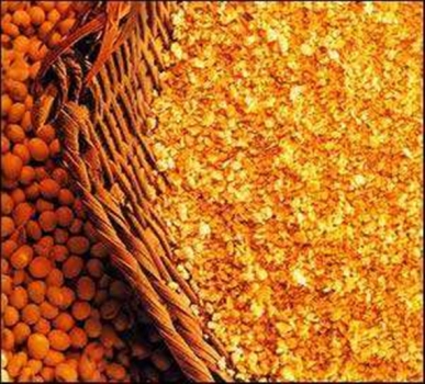 高豆粕比例和超劑量植酸酶對(duì)商業(yè)飼養(yǎng)條件下斷奶仔豬生長(zhǎng)性能的影響