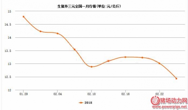 豬價連跌半月已到底？從這8點看繼續跌仍是大概率！