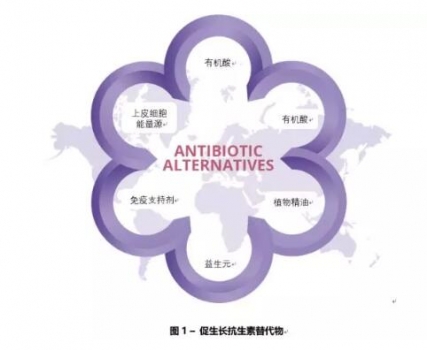 20180503095134.jpg
