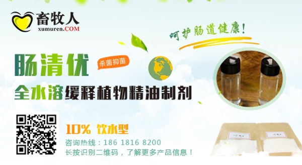 腸清優1.jpg