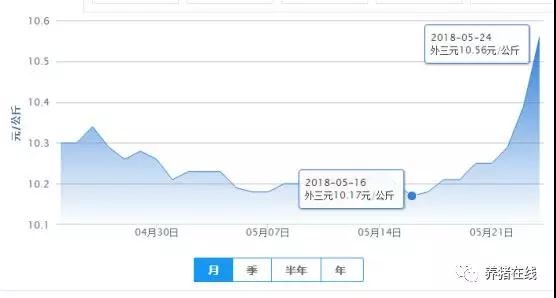 近期豬價(jià)全面上漲，這波行情還能持續(xù)多久？