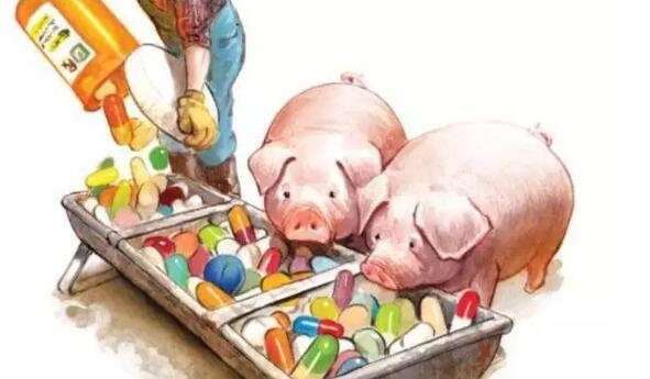 后抗生素時代的抗生素替代策略