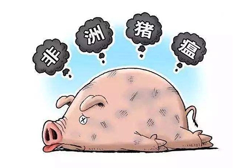 非洲豬瘟“定點清除”技術指南