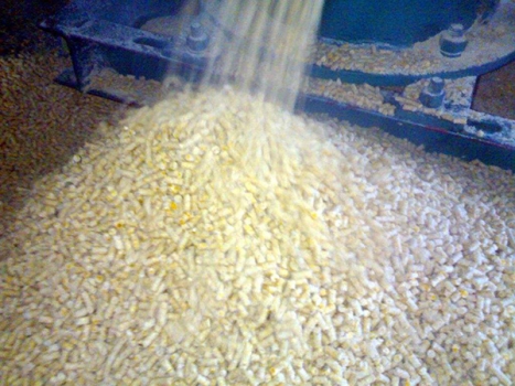 膨化技術與飼料生產過程控制