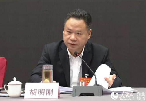 胡明剛代表：走好生豬綠色發展之路 實現生豬穩價保供