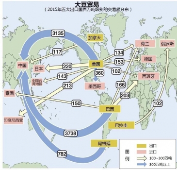悲慘的大豆：躲過了中美貿易戰，卻沒躲過新冠肺炎