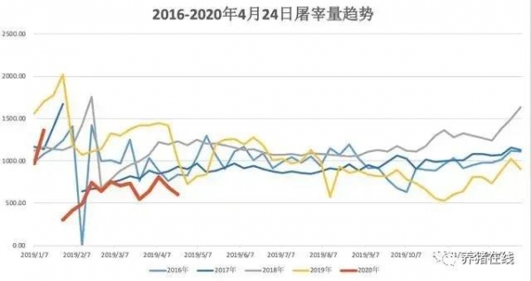 清明、五一豬價都不漲，反映一個重要信息！