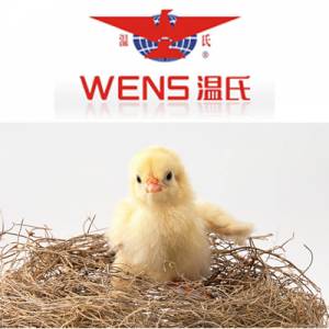 溫氏集團(tuán)封閉式委托養(yǎng)雞模式研究