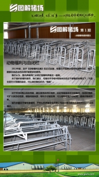 【京鵬環宇畜牧】圖解豬場第1期：動物福利與自閉欄