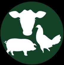 全球畜牧飼料科技發展