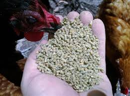 影響配合飼料質(zhì)量的四個因素