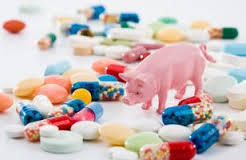 論微生物飼料添加劑在畜牧生產中的科學應用及發展前景