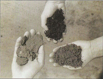 為什么要用有機(jī)微量元素替代無(wú)機(jī)微量元素