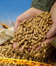 浸泡、蒸煮、焙炒、制漿、發芽法調整豬飼料