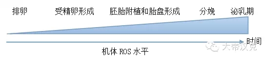 華中農業大學彭健教授：《進程性氧化應激對母豬繁殖性能的影響及營養調控》